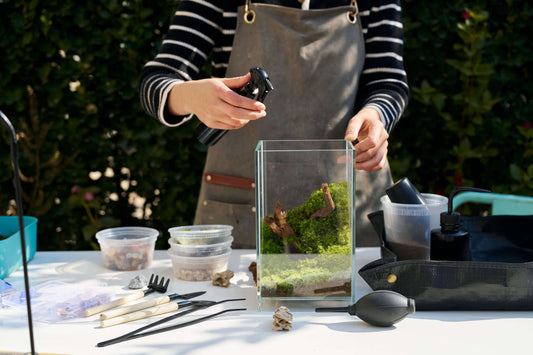 How to Bring Life into Your Winter Home
