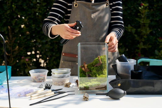🌿 What is a Terrarium?