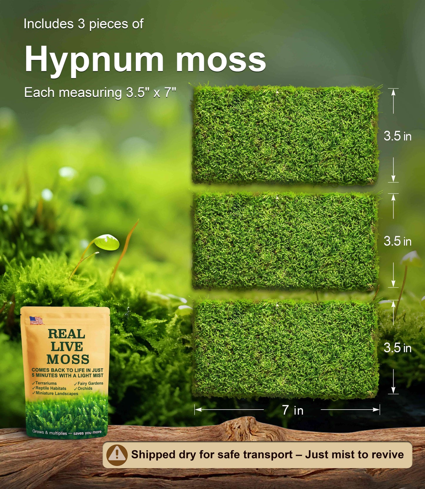 Live Moss – Hypnum Moss (3 Sheets, Each Approx. 3.5"x7") for Terrariums, Fairy Gardens, Bonsai & Natural Plant Decor – Naturally Grown, Reusable, Not Artificial