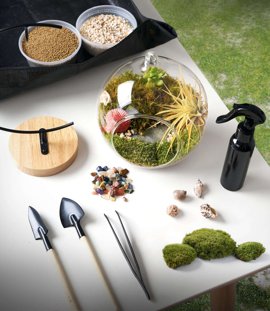 IcaOrbis Hanging Glass Globe Terrarium Kit with Live Moss and Crystals – DIY Hanging Plant Decor