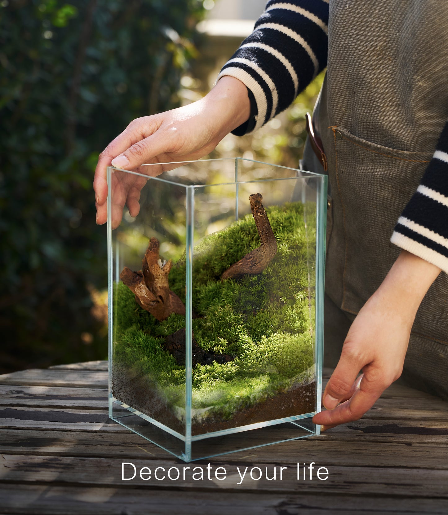 IcaTerra Square Terrarium Kit – Modern Cube DIY Kit with Live Moss, Stones, and Tools for Creative Indoor Gardening