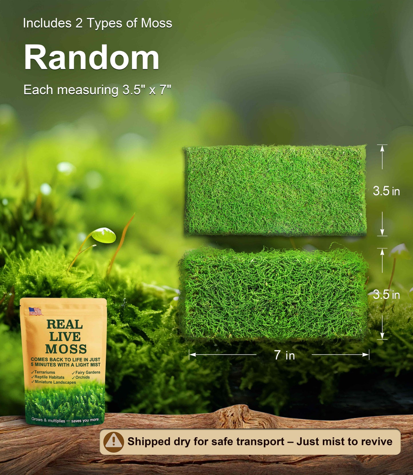 Live Moss Duo Pack – 2 Varieties Mixed Moss for Reptile Terrariums, Amphibian Habitats, Bonsai, Vivariums