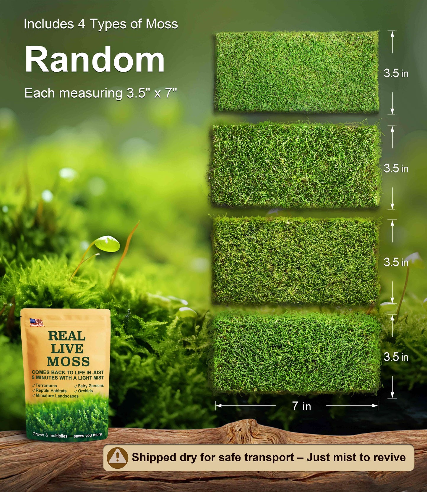 Live Moss 4-Pack – Mixed Moss for Potted Plants, Soil Cover, Succulents, Bonsai & Indoor Greenery Decor – Real Living Moss (Each 3.5"x7")