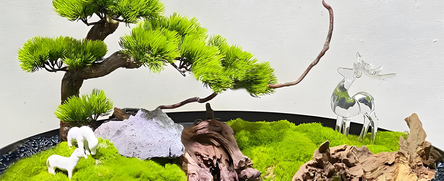 Live moss with bonsai tree in a tabletop landscape – perfect for miniature gardens and zen decor