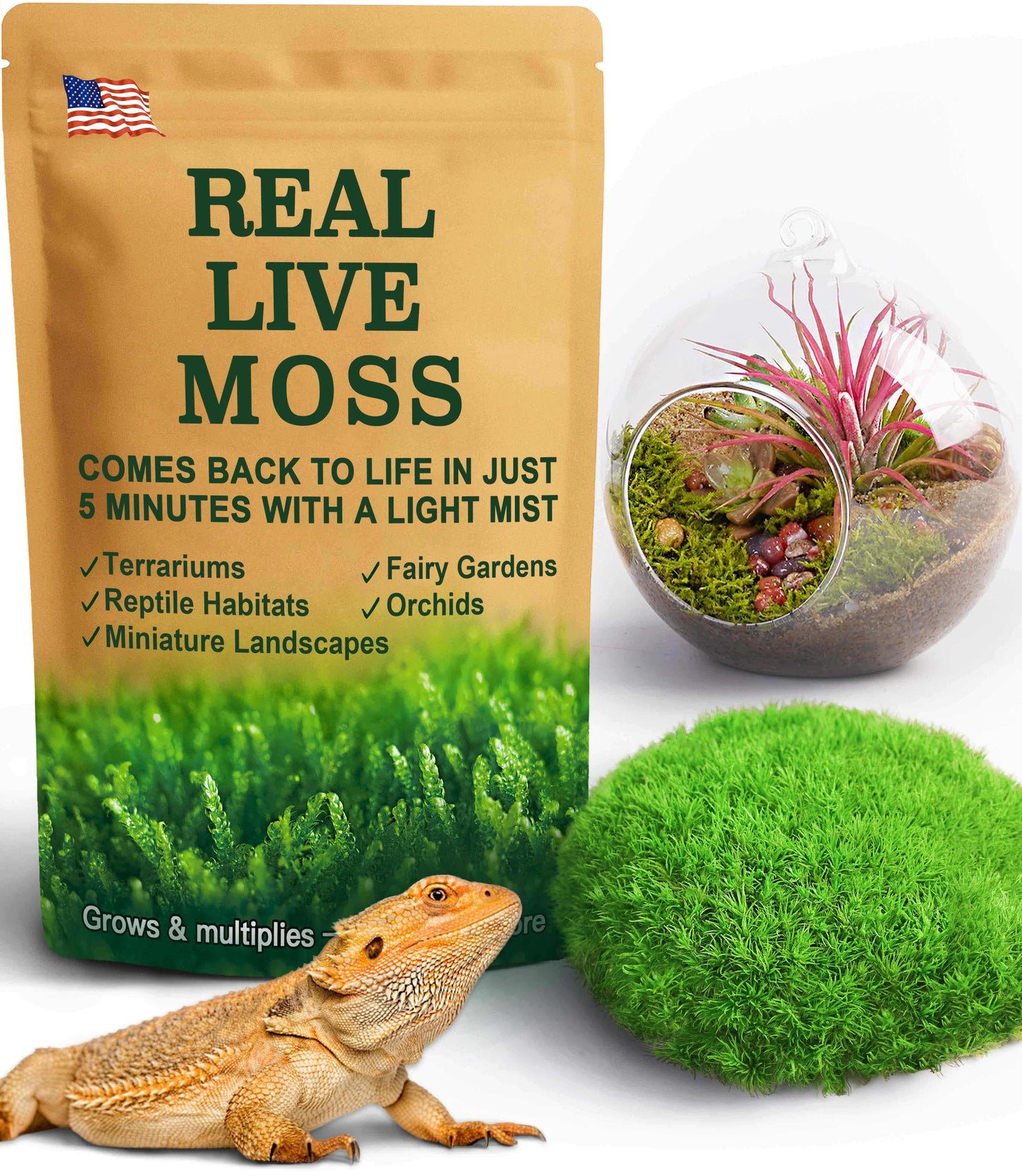 Live moss product packaging with examples of use in terrariums, reptile habitats, and bonsai – real moss that revives with mist for natural plant décor.