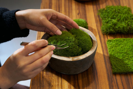 🌿 Moss Magic: Slow Living Inspiration | ICRAFT
