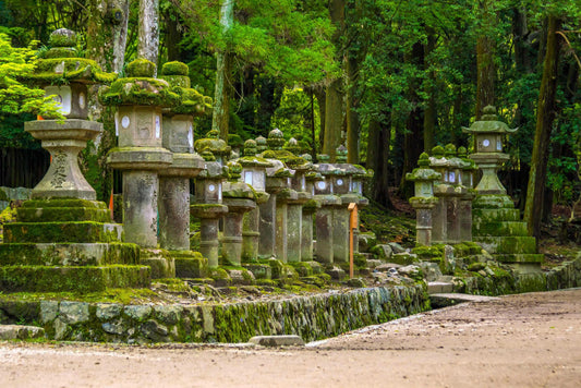 Moss and traditional Japanese aesthetics: the embodiment of wabi-sabi beauty