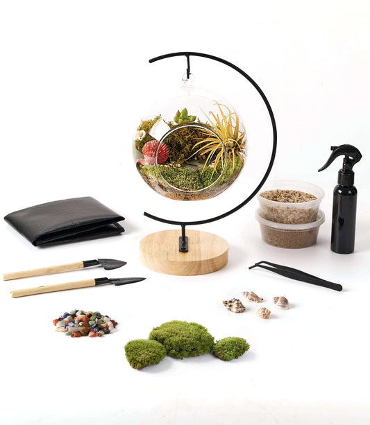 IcaOrbis Hanging Glass Globe Terrarium Kit with Live Moss and Crystals – DIY Hanging Plant Decor
