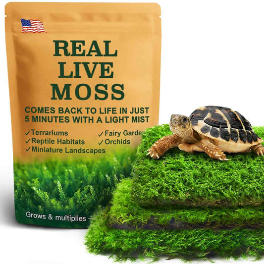 Live Moss for Reptiles – Real Fresh Moss (3.5" x 7", 3-Pack) – Soft, Green & Moisture-Retaining – Ideal for Terrariums, Tanks, Bonsai & Vivariums – Reusable Alternative to Sphagnum Moss