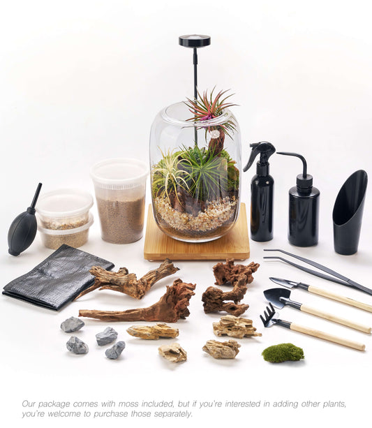 IcaArbor – Oval Glass Terrarium Kit – DIY Terrarium Kit with Live Moss and Accessories