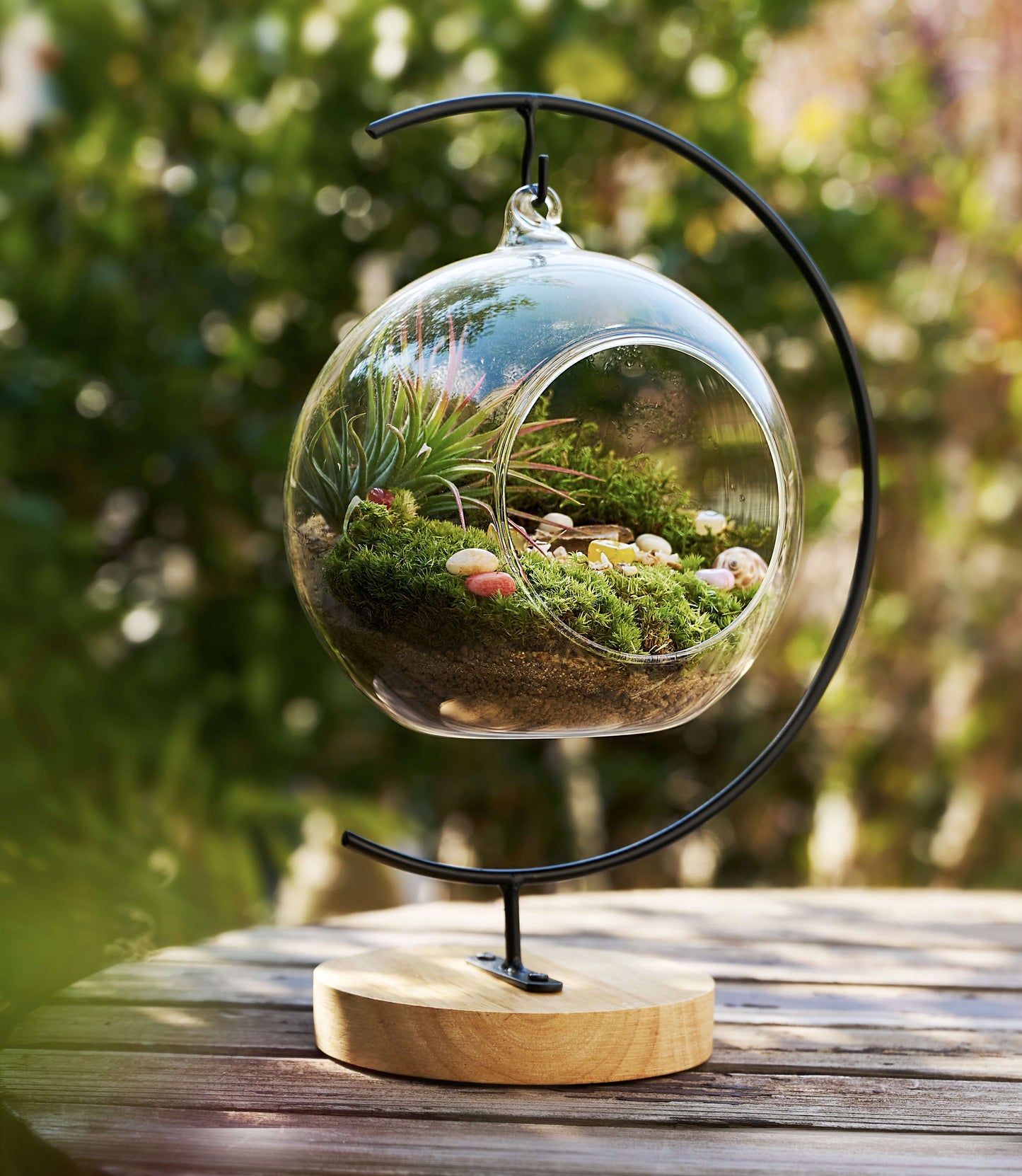 IcaOrbis Hanging Glass Globe Terrarium Kit with Live Moss and Crystals – DIY Hanging Plant Decor