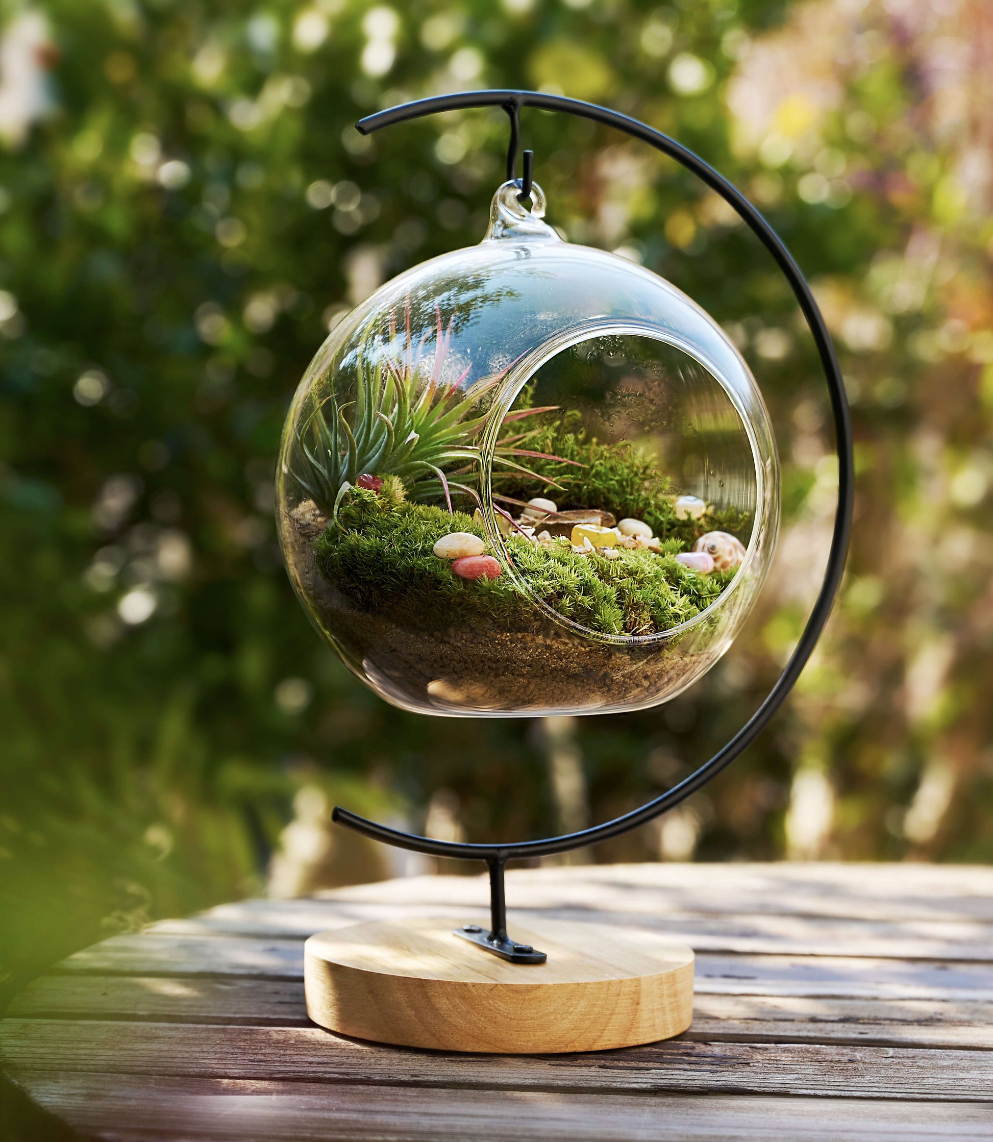 IcaOrbis Hanging Glass Globe Terrarium Kit with Live Moss and Crystals – DIY Hanging Plant Decor