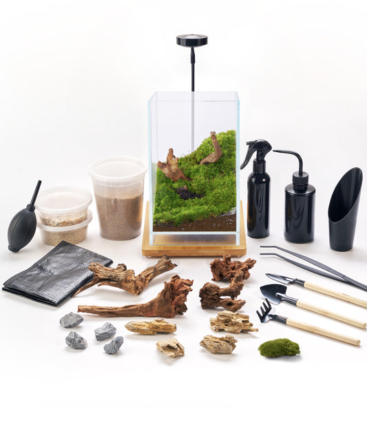 IcaTerra Square Terrarium Kit – Modern Cube DIY Kit with Live Moss, Stones, and Tools for Creative Indoor Gardening