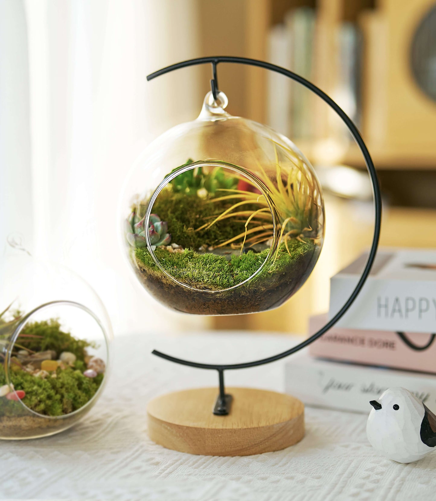 IcaOrbis Hanging Glass Globe Terrarium Kit with Live Moss and Crystals – DIY Hanging Plant Decor