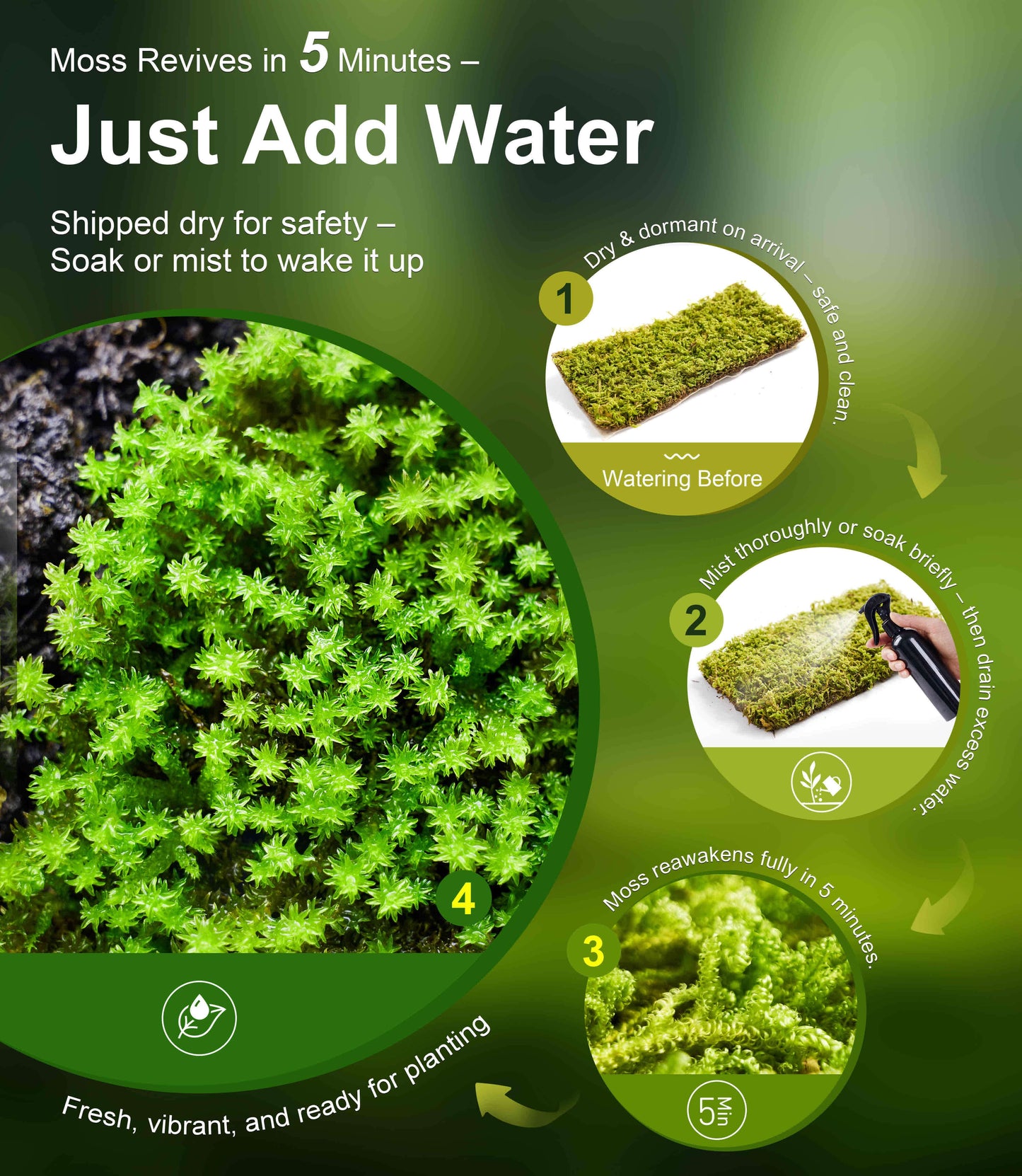 Live Moss for Reptiles – Real Fresh Moss (3.5" x 7", 3-Pack) – Soft, Green & Moisture-Retaining – Ideal for Terrariums, Tanks, Bonsai & Vivariums – Reusable Alternative to Sphagnum Moss