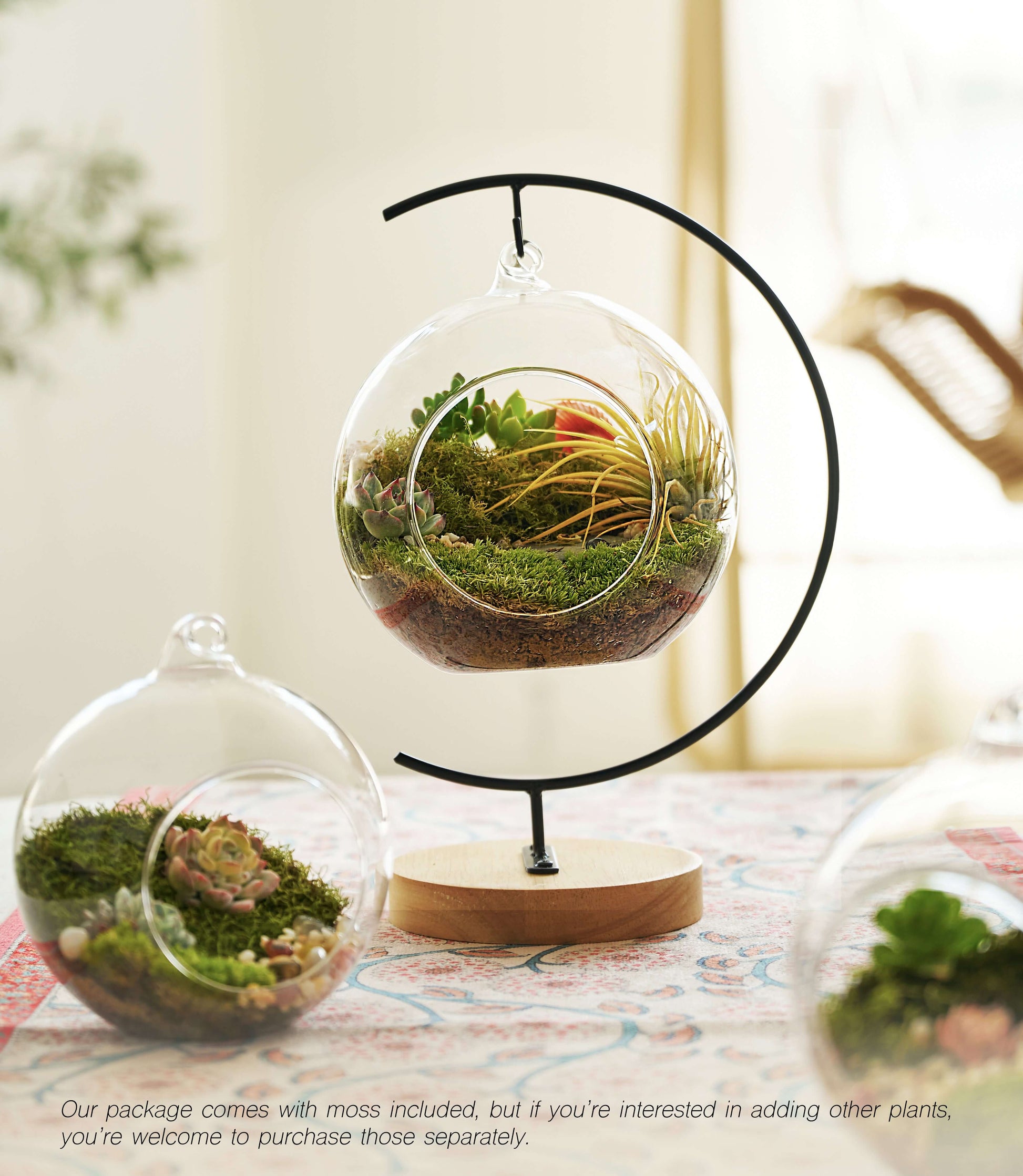 IcaOrbis Hanging Glass Globe Terrarium Kit with Live Moss and Crystals – DIY Hanging Plant Decor