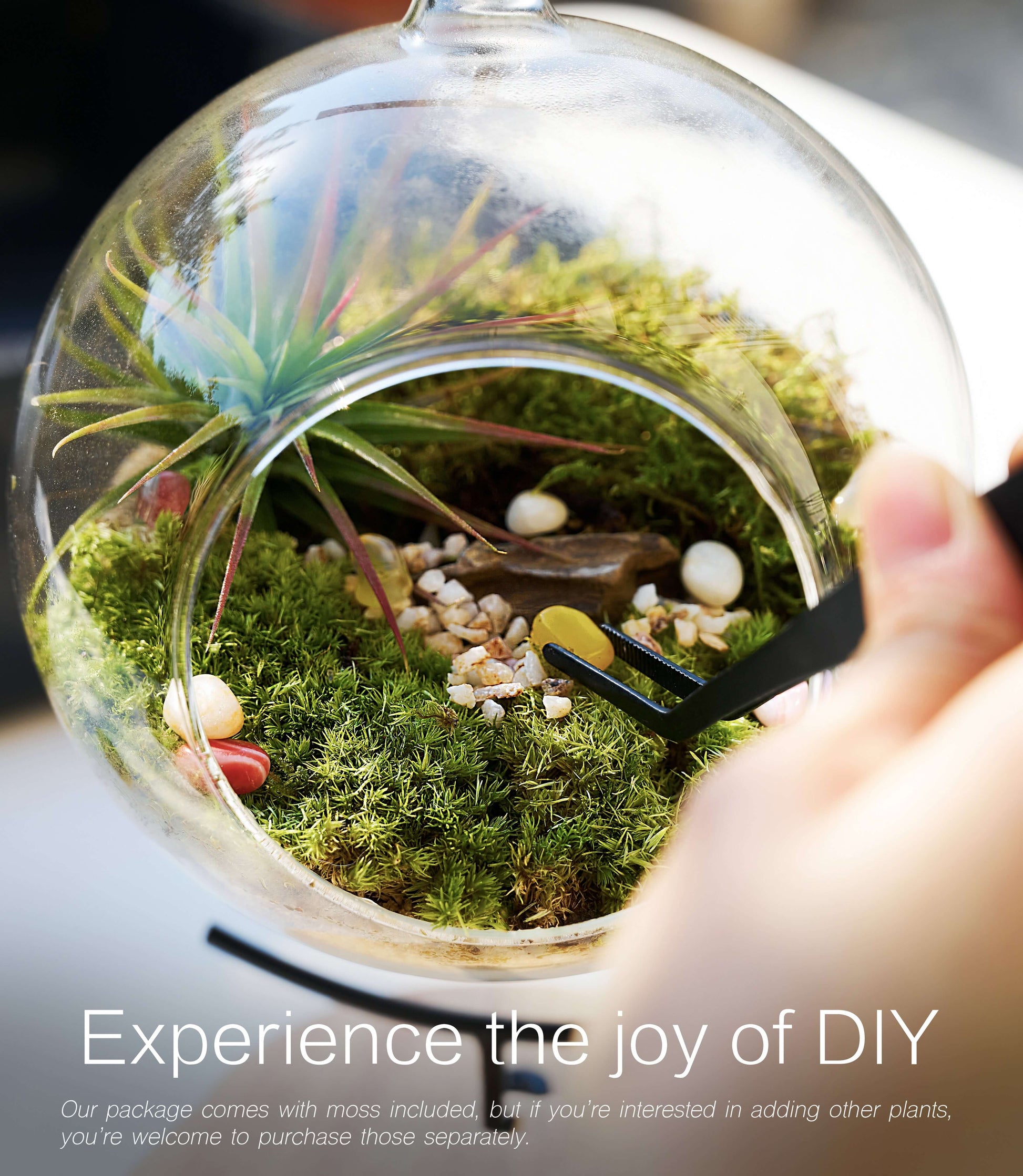 IcaOrbis Hanging Glass Globe Terrarium Kit with Live Moss and Crystals – DIY Hanging Plant Decor