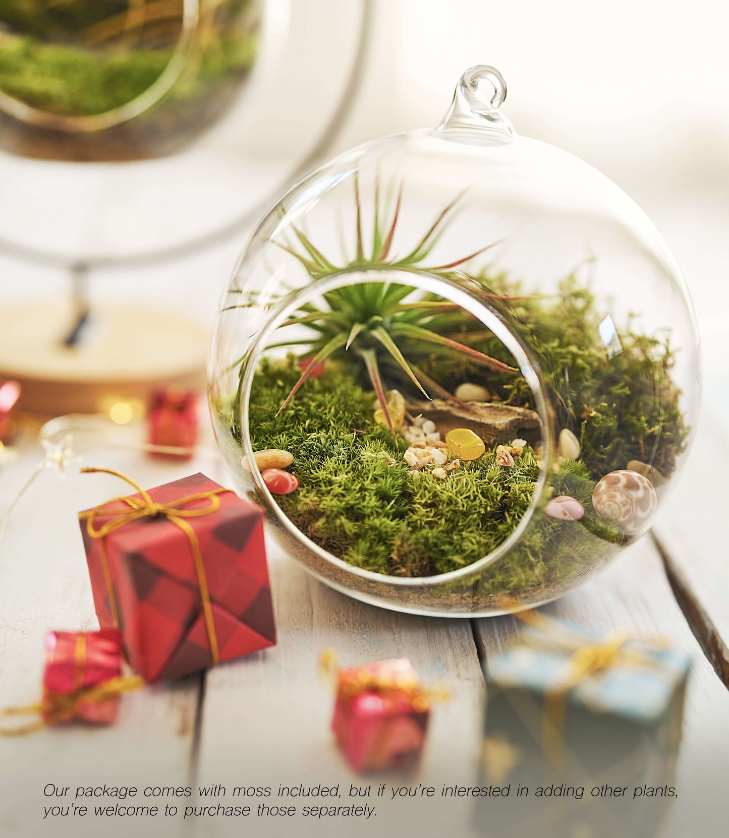 IcaOrbis Hanging Glass Globe Terrarium Kit with Live Moss and Crystals – DIY Hanging Plant Decor