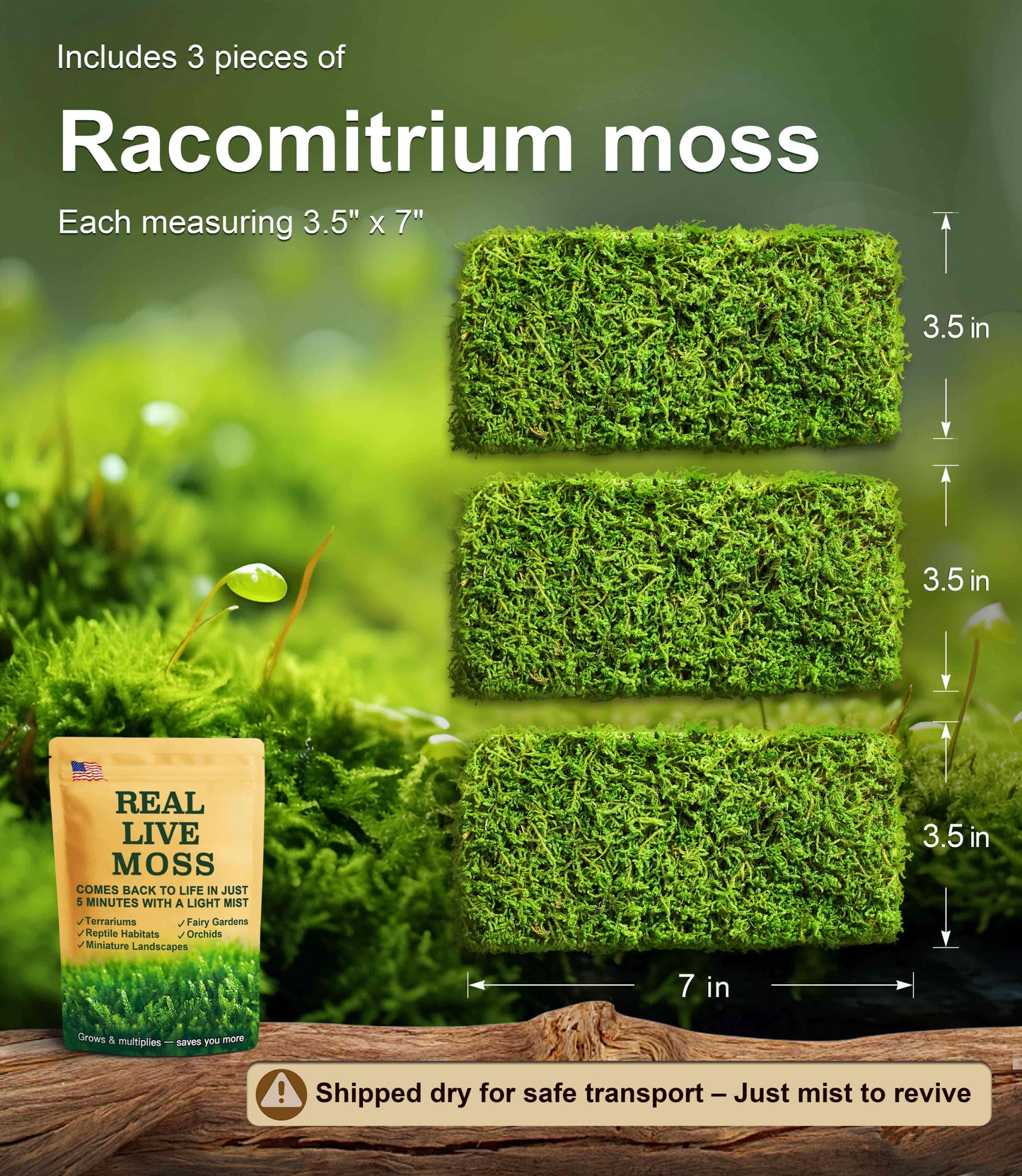 Live Moss –Racomitrium moss (3 Sheets, Each Approx. 3.5"x7") for Terrariums,Bonsai,Moss wall – Naturally Grown, Reusable, Not Artificial