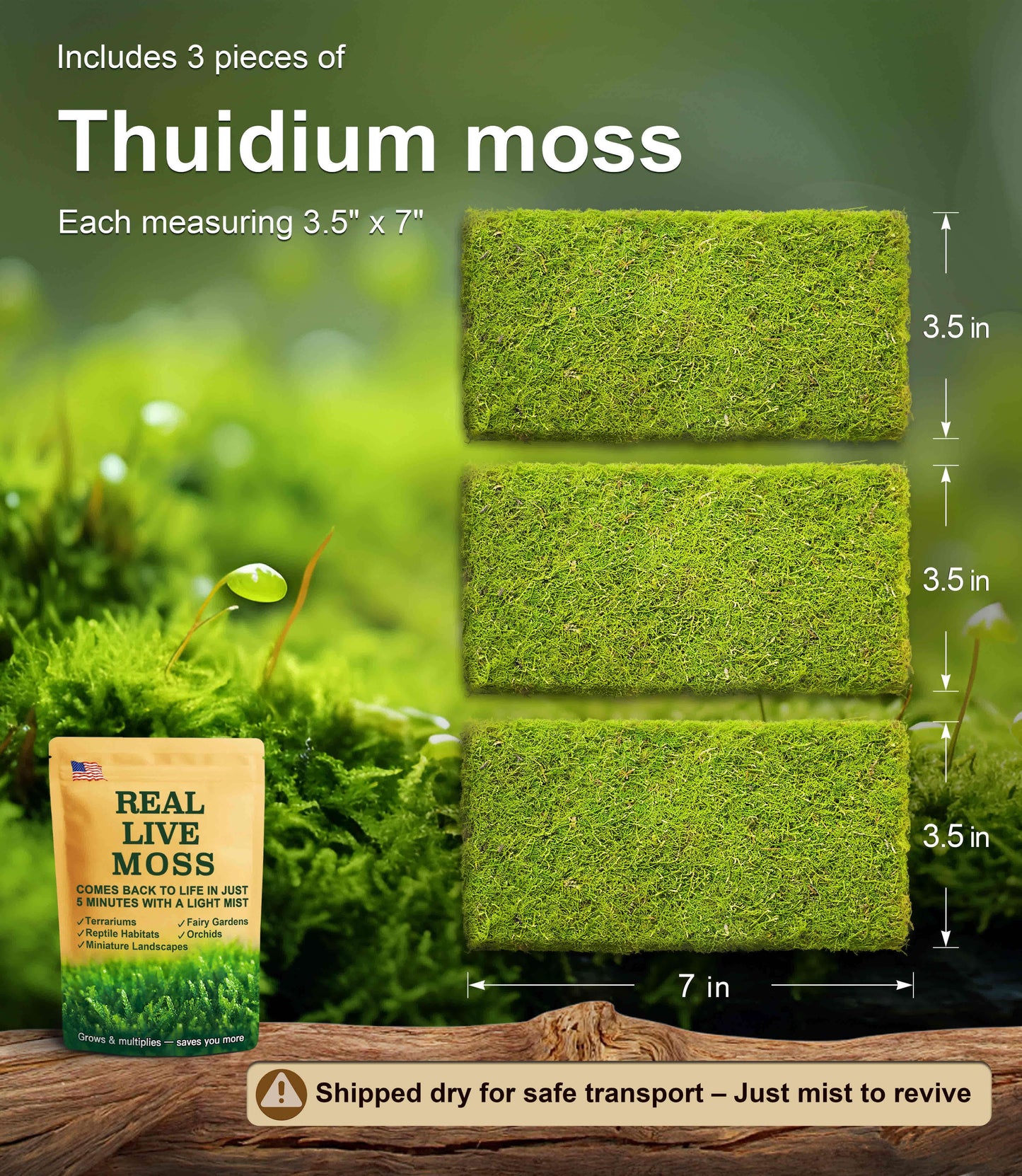 3 pieces of Thuidium live moss, each measuring 3.5 x 7 inches – lush green moss perfect for terrariums, reptile habitats, and bonsai. Shipped dry for safe transport and revives quickly with mist.