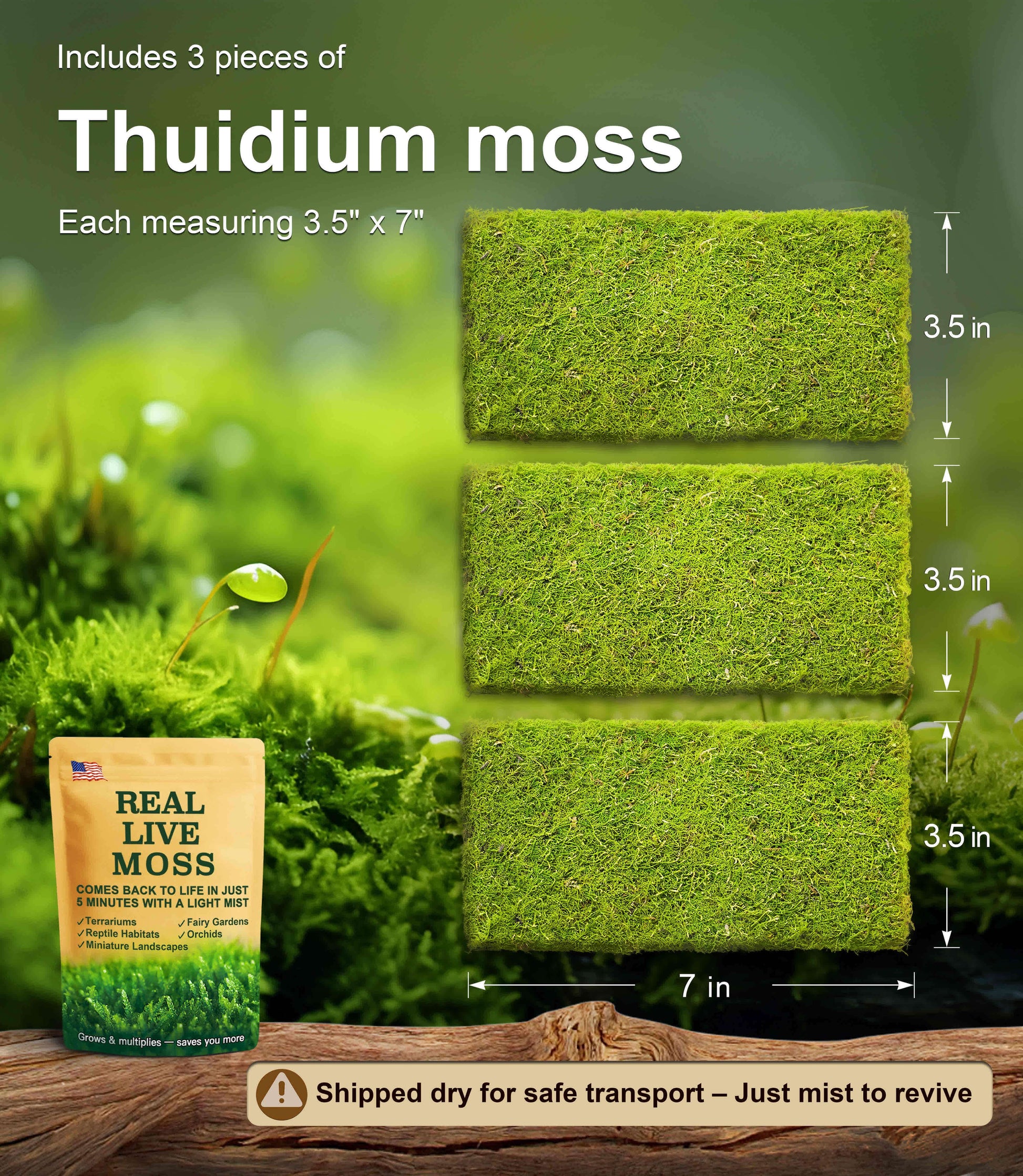 3 pieces of Thuidium live moss, each measuring 3.5 x 7 inches – lush green moss perfect for terrariums, reptile habitats, and bonsai. Shipped dry for safe transport and revives quickly with mist.